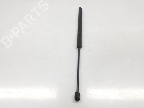 Tailgate lift support AUDI Q7 (4LB) 4.2 TDI quattro | BP14098391C138 