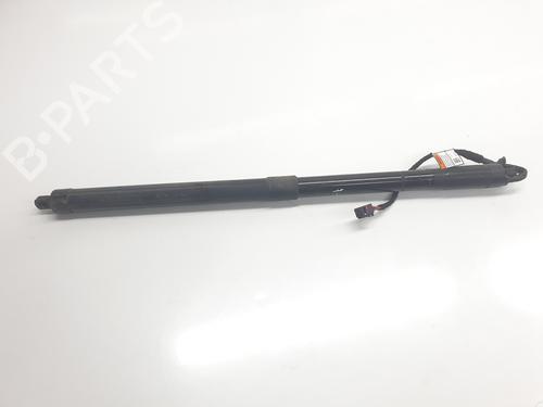 Gassdemper Bakluke LAND ROVER RANGE ROVER EVOQUE (L538) 2.0 D 4x4 (150 hp) 24815357