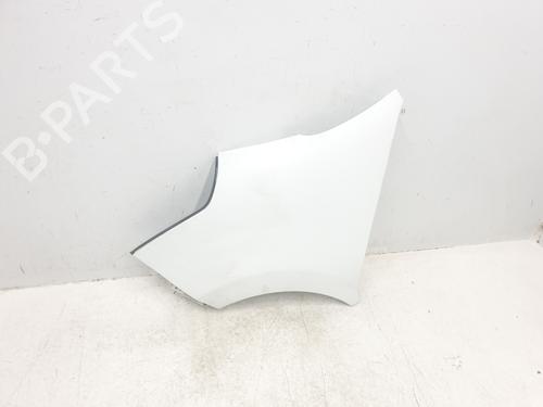 Left front fenders RENAULT MASTER III Van (FV) 2.3 dCi 125 RWD (FV0C, FV0D, FV0H, FV0J, FV0A, FV0K) | BP30395632C41