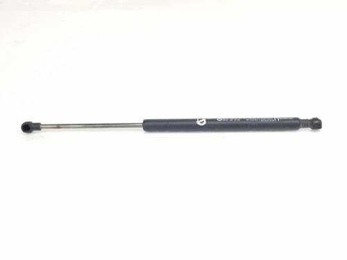 hood-lift-support-renault-arkana-i-lcm_-ldn_-2019-35737761 main image