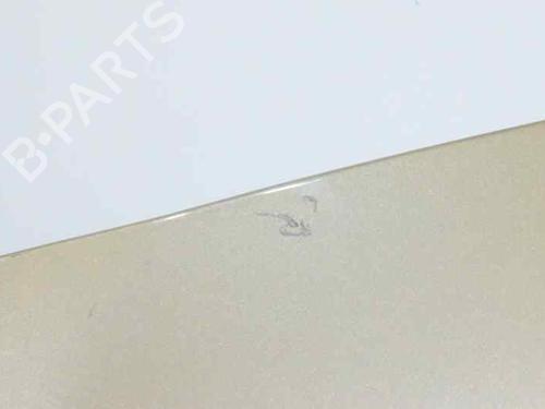 Hood RENAULT CLIO III (BR0/1, CR0/1)  | BP1425003C1 
