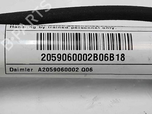 Electronic module MERCEDES-BENZ C-CLASS (W205) C 220 BlueTEC / d (205.002, 205.004) | BP14073168M83 