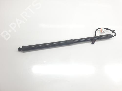 Used Tailgate lift support LAND ROVER RANGE ROVER EVOQUE (L538) 2.0 D 4x4 (150 hp) 24815358