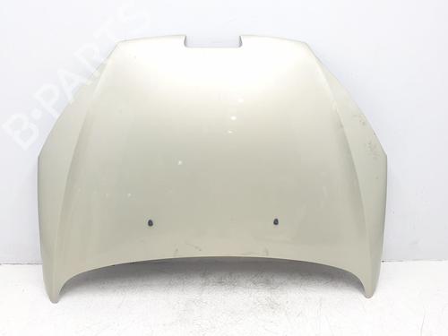 Used Hood PEUGEOT 407 (6D_) 2.0 (6DRFNB, 6DRFNE) (136 hp) 16919710