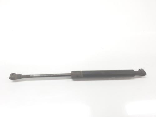 Used Hood lift support BMW 3 (E46) 320 d (136 hp) 20190609
