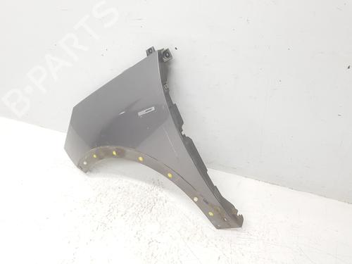 Left front fenders RENAULT SCÉNIC III (JZ0/1_)  | BP26214809C41 