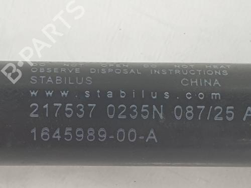 Other TESLA MODEL 3 (5YJ3) | BP38525125O1 - Image 4