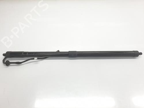 Used Tailgate lift support LAND ROVER RANGE ROVER SPORT II (L494) 3.0 SDV6 4x4 (306 hp) 20657913