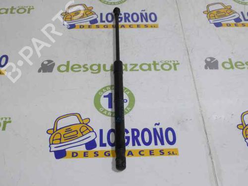 Tailgate lift support BMW 1 (E87) 120 d | BP14120837C138 