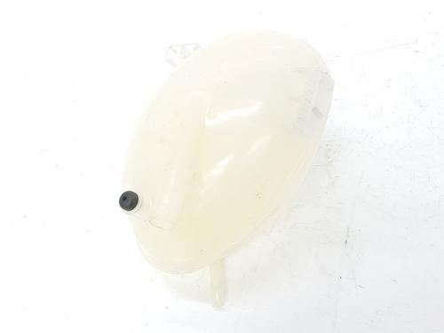 Expansion tank FORD ECOSPORT 1.0 EcoBoost | BP6813999C120 