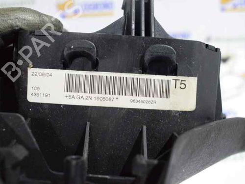 Driver airbag PEUGEOT 307 (3A/C) 2.0 16V | BP793528C9 