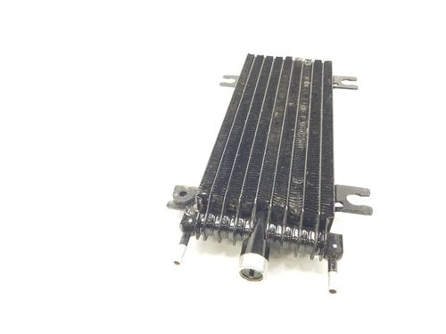 Oil radiator RENAULT AUSTRAL | BP32216028M33