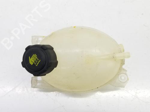 Used Expansion tank DACIA DOKKER MPV (KE_) 1.5 dCi (KEAJ, KEAH) (90 hp) 8516221
