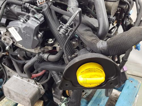 Engine RENAULT TRAFIC III Bus (JG_) 1.6 dCi 115 (JGMD) | BP33964676M1  - Image 17