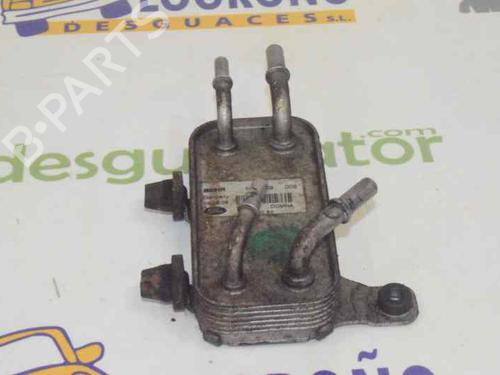 Oliekøler LAND ROVER DISCOVERY III (L319) 2.7 TD 4x4 | BP14119435M33 