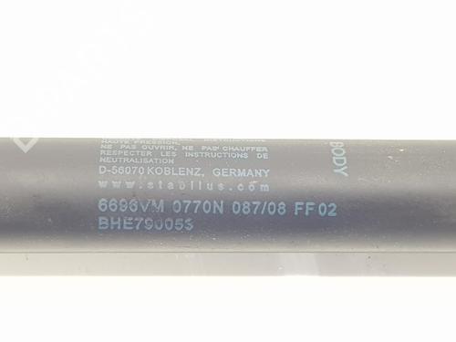 Tailgate lift support LAND ROVER RANGE ROVER SPORT I (L320) 2.7 D 4x4 | BP14099910C138 