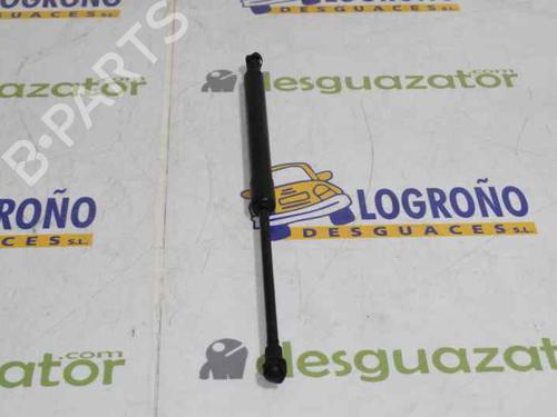 Hood lift support BMW 1 (E87) 120 d | BP14119534C139 