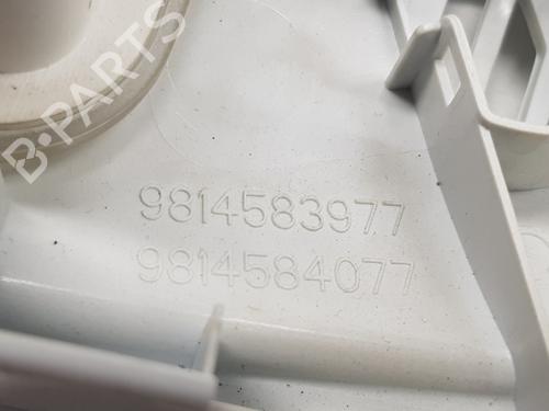 Interior roof light PEUGEOT 3008 II SUV (MC_, MR_, MJ_, M4_) 1.5 BlueHDi 130 | BP20321436I8
