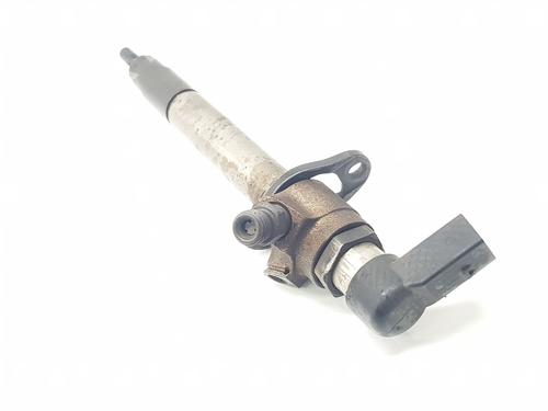Injector LAND ROVER RANGE ROVER SPORT I (L320) 2.7 D 4x4 | BP24615085M100 