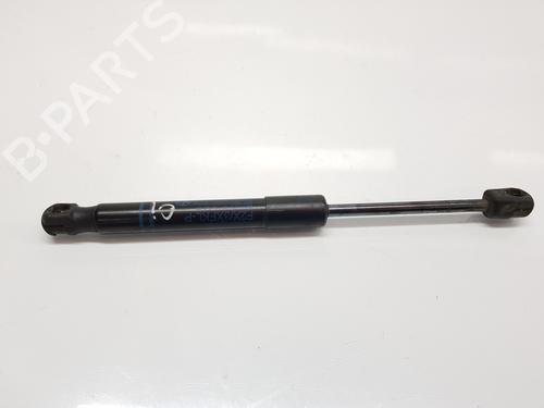 Used Hood lift support BMW 2 Coupe (F22, F87) M2 (370 hp) 22553446