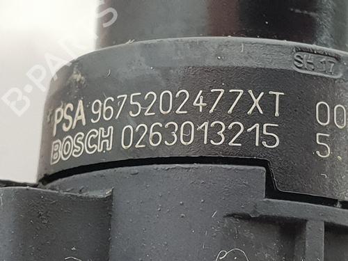 Other PEUGEOT 3008 II SUV (MC_, MR_, MJ_, M4_)  | BP29489680O1 