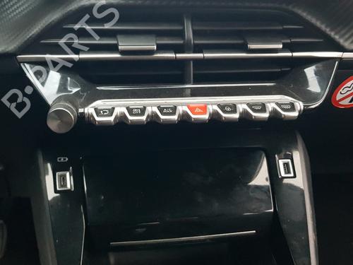 Engine PEUGEOT 2008 II (UD_, US_, UY_, UJ_, UR_, UC_)  | BP31175250M1 