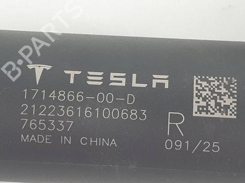 Andre TESLA MODEL 3 (5YJ3)  | BP38525123O1  - Image 5
