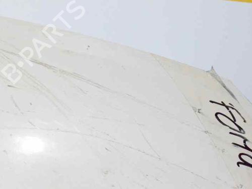 Hood FORD TRANSIT Van (FA_ _) 2.4 DI RWD (FAA_, FAB_, FAC_, FAD_) | BP3658377C1 
