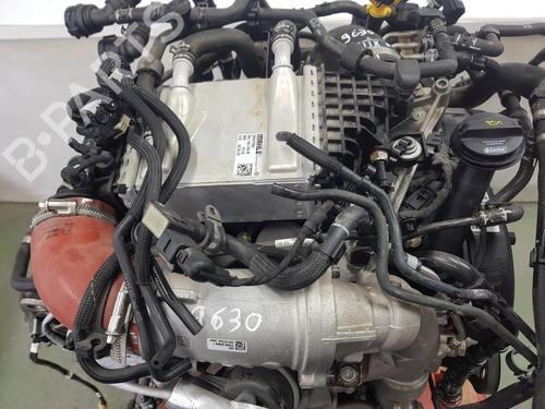 Engine MAN TGE Bus  | BP33214913M1  - Image 12