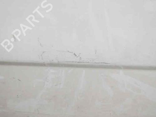 Left front door NISSAN PRIMASTAR Van (X83) 1.9 dCi 100 | BP4755954C2 
