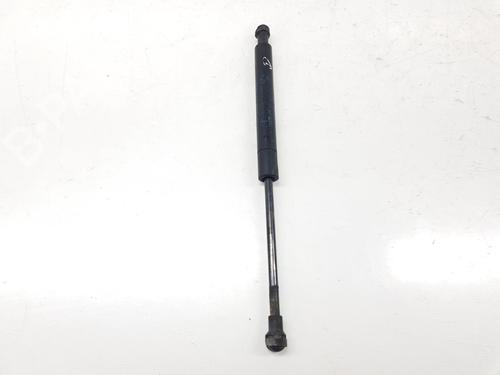 Hood lift support BMW 3 Coupe (E46) 320 Cd | BP14102675C139