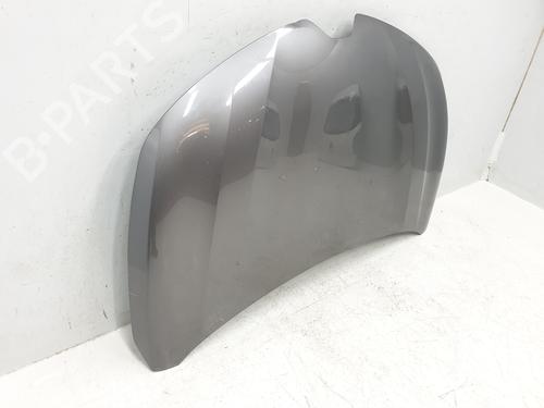 Hood RENAULT CLIO V (B7_)  | BP29723417C1 