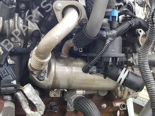 Motor FORD TRANSIT CUSTOM V362 Bus (F3) 2.0 EcoBlue | BP30549029M1 