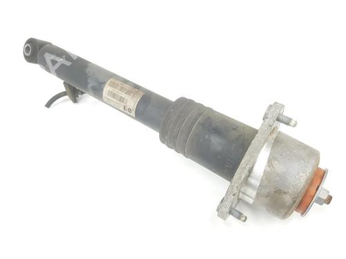 Left rear shock absorber BMW X6 (E71, E72) xDrive 30 d | BP17172390M18