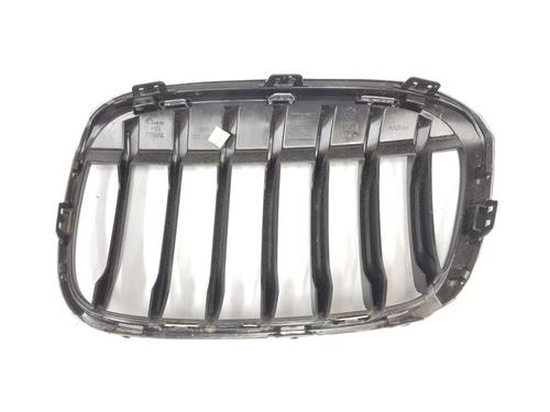 Grille BMW X1 (F48) xDrive 18 d | BP10406443C40 