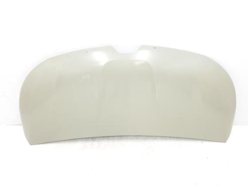 Capot RENAULT TRAFIC III Van (FG_) 1.6 dCi 140 (FGMA, FGMC) (140 hp) 30498442