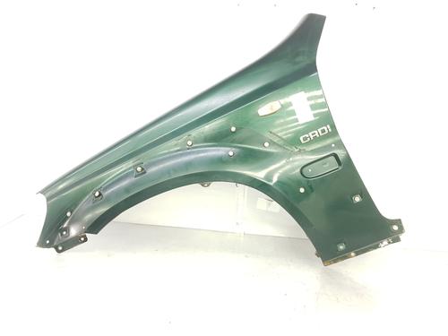 Used Left front fenders HYUNDAI TERRACAN (HP) 2.9 CRDi 4WD (150 hp) 7631640