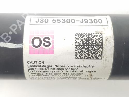 Left rear shock absorber HYUNDAI KONA (OS, OSE, OSI) 1.0 T-GDi | BP10636316M18 