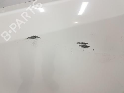 Left front door RENAULT TRAFIC III Van (FG_) 1.6 dCi 90 (FGME) | BP15510767C2 