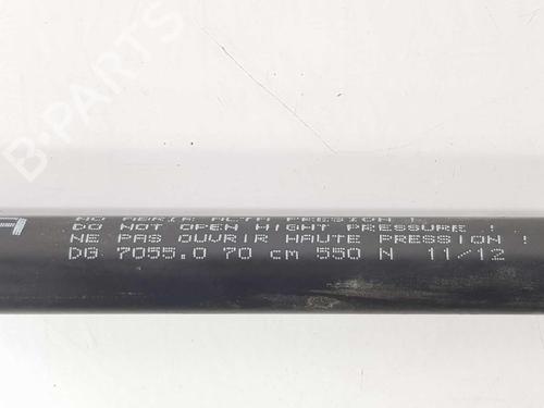 Tailgate lift support CITROËN BERLINGO / BERLINGO FIRST Box Body/MPV (M_) 2.0 HDI 90 (MBRHY, MCRHY) | BP14083068C138 
