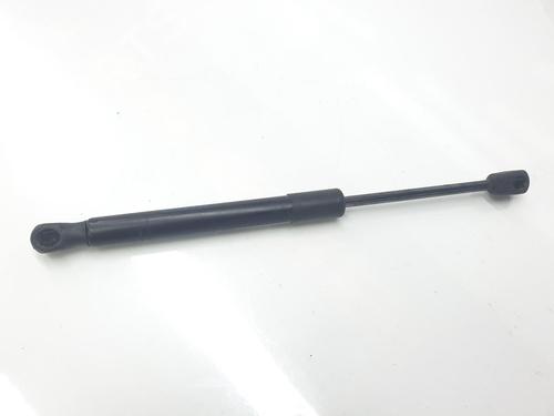 Tailgate lift support MINI MINI CLUBMAN (F54) One D 7348917  | 7348917  |