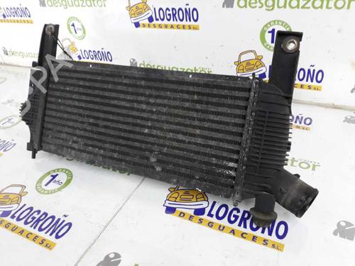 Intercooler NISSAN PATHFINDER III (R51) 2.5 dCi | BP26390327M30 