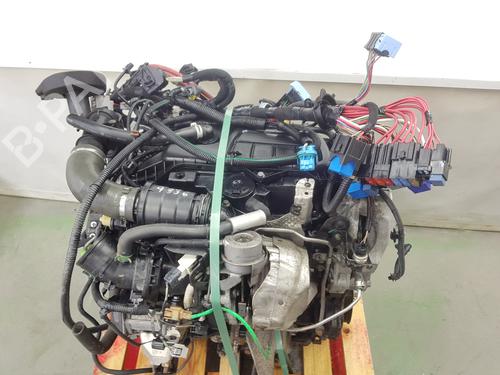 Engine NISSAN NV300 Van (X82)  | BP31840865M1 