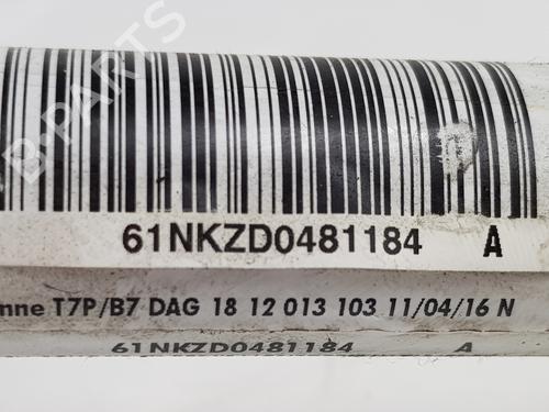 Steering column CITROËN C4 II (NC_) 1.6 BlueHDi 100 | BP32268691M21