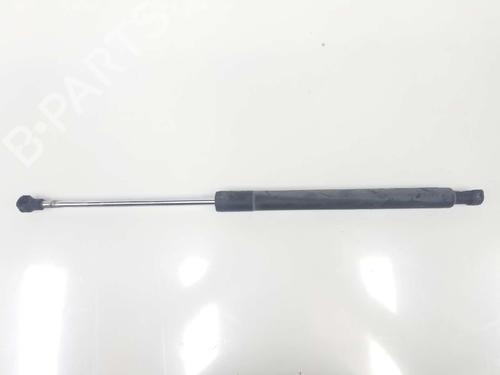 Tailgate lift support RENAULT CLIO III (BR0/1, CR0/1) 1.5 dCi (C/BR0G, C/BR1G) 8200299546 | 8200299546 |