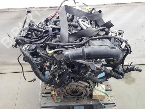 Engine RENAULT CLIO V (B7_)  | BP34623314M1  - Image 6