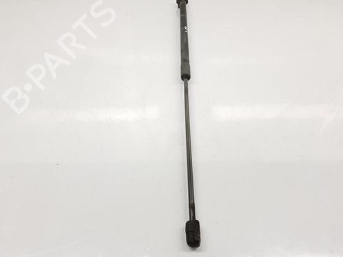Hood lift support RENAULT MEGANE III Hatchback (BZ0/1_, B3_) 1.6 16V (BZ0H) | BP16541416C139 