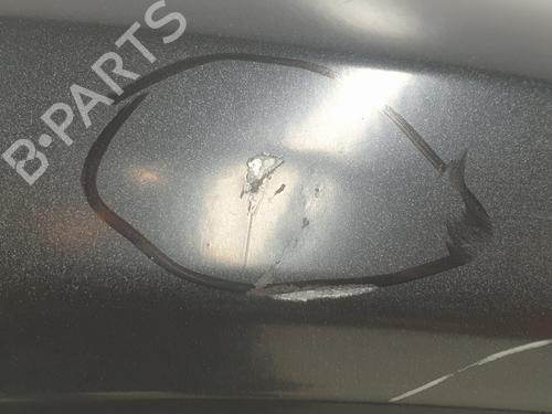 Right front door RENAULT TRAFIC III Van (FG_) 1.6 dCi 140 (FGMA, FGMC) | BP29906881C3