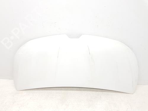 Used Hood RENAULT TRAFIC III Van (FG_) 1.6 dCi 140 (FGMA, FGMC) (140 hp) 30262886