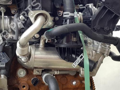 Engine FORD TRANSIT V363 Platform/Chassis (FED, FFD) 2.0 EcoBlue | BP31593823M1